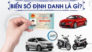 Biển Số Định Danh Là Gì